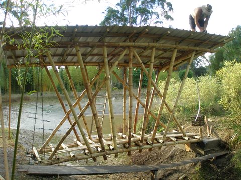Lectures and Workshops | Bamboo Building Essentials
